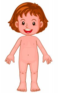 Niña sin ropa, vulva expuesta. Niña desnuda