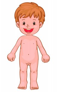 Ilustración niño sexuado Niño con genitales expuestos. Masculino infantil